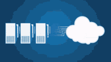 businessdirectory